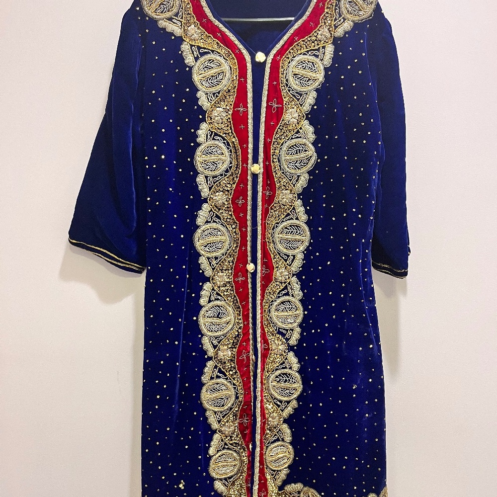 Velvet embroidered dress wear or costume